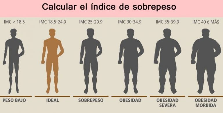 el-ndice-de-masa-corporal-imc-qu-es-adios-a-la-b-scula